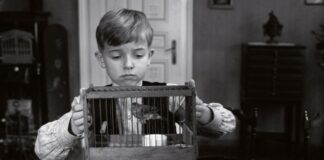 Décès de la productrice Margaret Menegoz