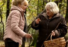 Critique : Quand vient l’automne