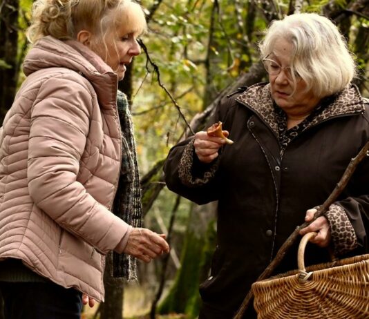 Critique : Quand vient l’automne