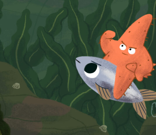 Critiques Express : Petits contes sous l’océan