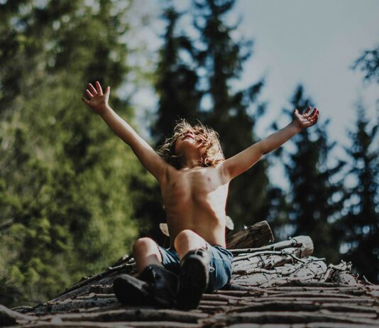 Critique express : A New Kind of Wilderness