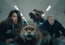 Test Blu-ray : Chien & Chat