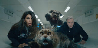 Test Blu-ray : Chien & Chat