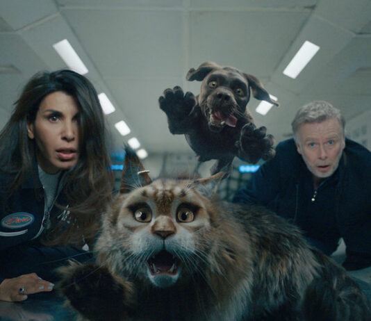 Test Blu-ray : Chien & Chat