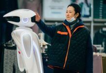 La Roche-sur-Yon 2024 : Les Feux sauvages