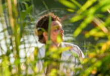 Les sorties du 23 octobre 2024