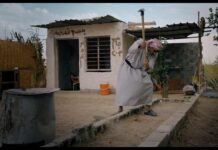 Critique : Hiding Saddam Hussein