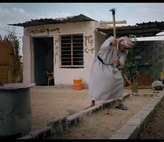 Critique : Hiding Saddam Hussein