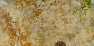 Comment maximiser vos chances de gain aux machines à sous en ligne