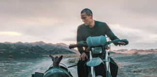 Sarlat 2024 : Black Dog