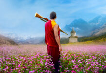 Test Blu-ray : Le moine et le fusil