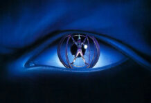 Test Blu-ray : Le Cobaye