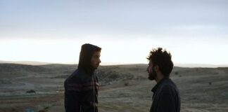 Les sorties du 13 novembre 2024