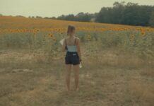 Albi 2024 : Se souvenir des tournesols