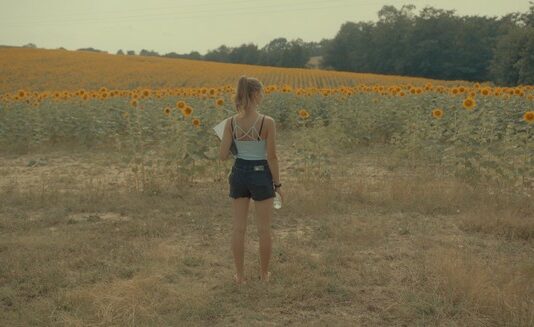 Albi 2024 : Se souvenir des tournesols