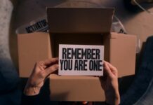 Les sorties du 6 novembre 2024