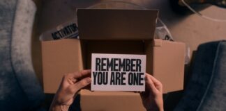 Les sorties du 6 novembre 2024