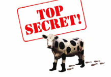 Test Blu-ray 4K Ultra HD : Top Secret !