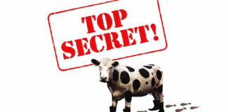 Test Blu-ray 4K Ultra HD : Top Secret !