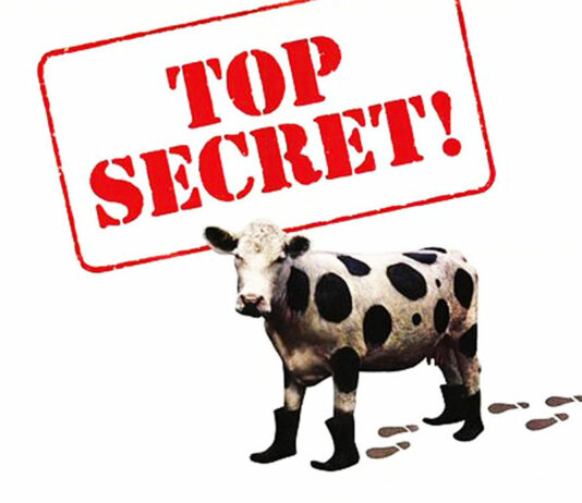 Test Blu-ray 4K Ultra HD : Top Secret !