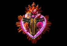 Test Blu-ray : Emilia Pérez