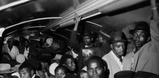 Les sorties du 25 décembre 2024