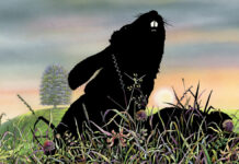 Test Blu-ray : Watership Down