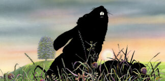 Test Blu-ray : Watership Down