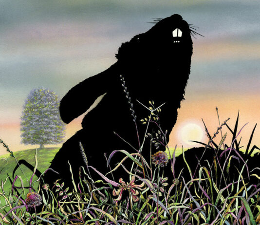 Test Blu-ray : Watership Down
