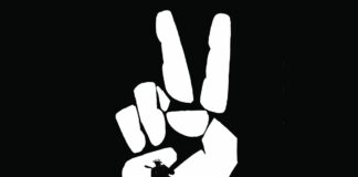 Test Blu-ray : Johnny s’en va-t-en guerre – Réédition 2024