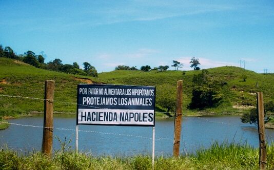 Les sorties du 1er janvier 2025