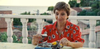 Critique : La pie voleuse