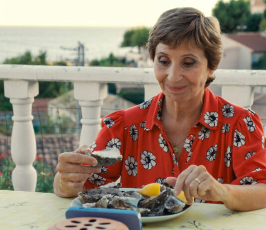 Critique : La pie voleuse