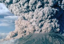 Critique : Au cœur des volcans