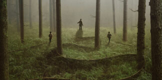 Test Blu-ray : Mother Land