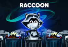 Vers une adaptation cinématographique du jeu Raccoon ?