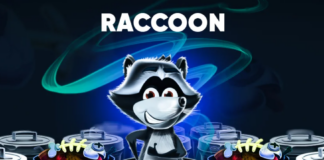 Vers une adaptation cinématographique du jeu Raccoon ?