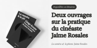 En librairie de cinéma depuis le mois de mars 2025