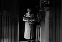 Critique Express : La jeune femme à l’aiguille