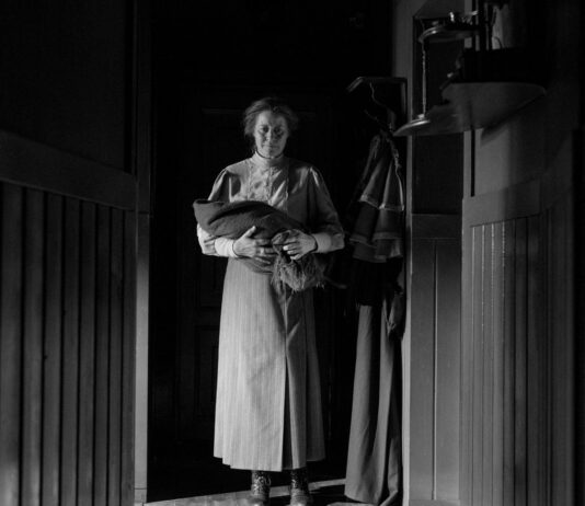 Critique Express : La jeune femme à l’aiguille