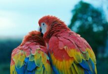 De retour en salles au mois de mai 2025