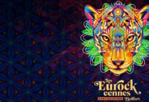 Eurockéennes de Belfort 2024 : le programme complet