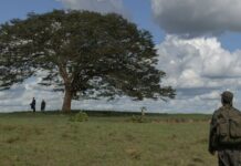 Critique Express : Horizonte