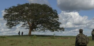 Critique Express : Horizonte