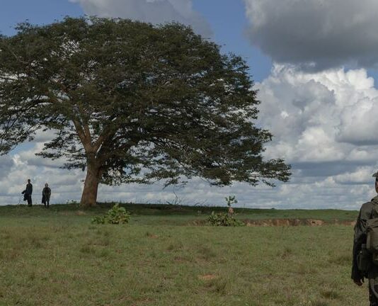 Critique Express : Horizonte