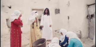 Critique Express : Leila et les loups