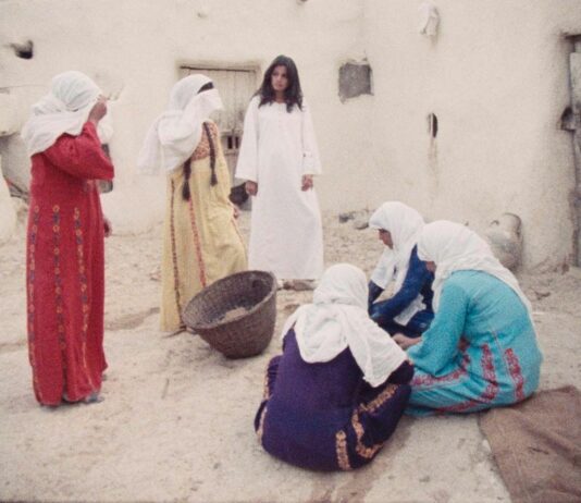 Critique Express : Leila et les loups