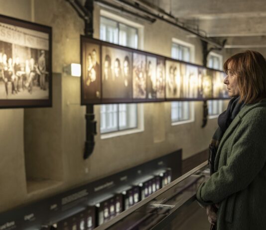 Critique Express : Marco l’énigme d’une vie