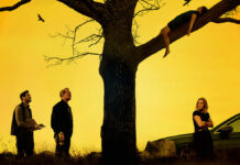 Test Blu-ray : Les Enquêtes du département V – Promesse