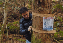 Critique Express : L’air mouillé